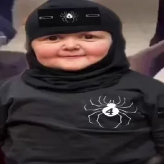 🕷️
