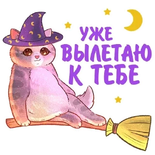 🧹