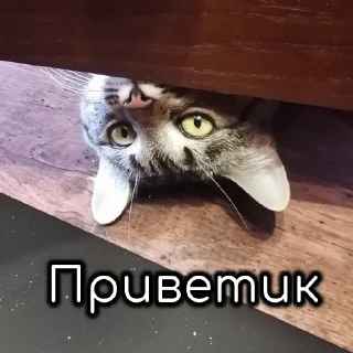 👋