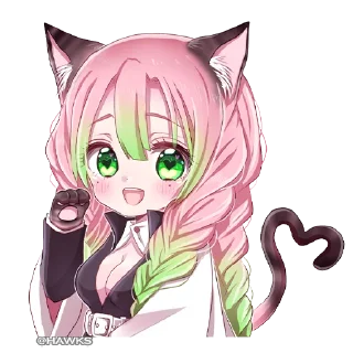🐱