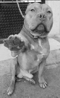 ✋