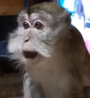 😨