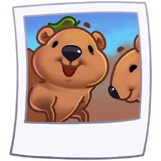 👋