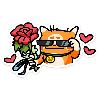 ⭐