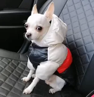 ☺