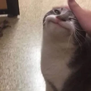 🥴