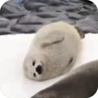🥰