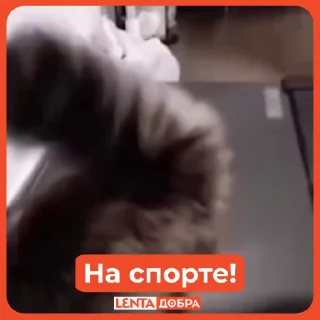 💪