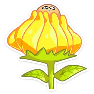 🌻