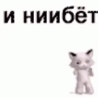 😼