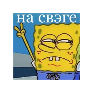 ✌️
