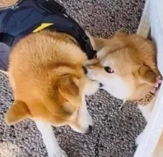 🥴