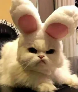😡