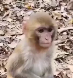 🤯