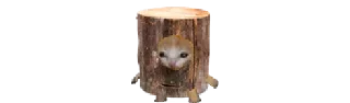 🪵