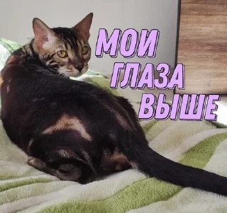 😠