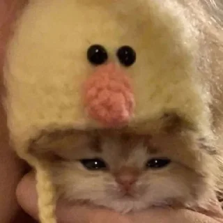🎀