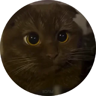 😨
