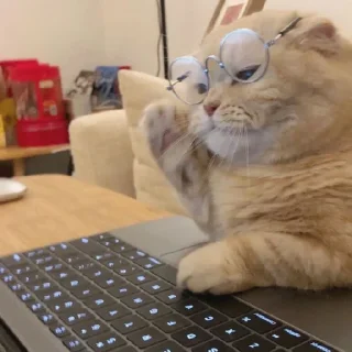 🐈