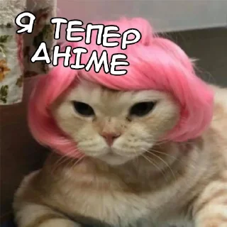 😓