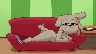 🐶