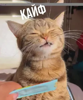 💦