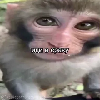 😍