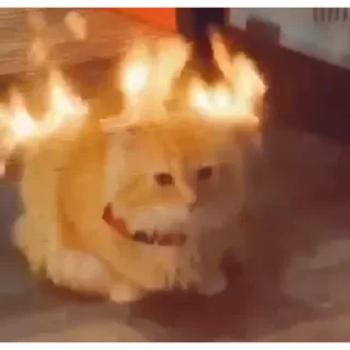 🔥