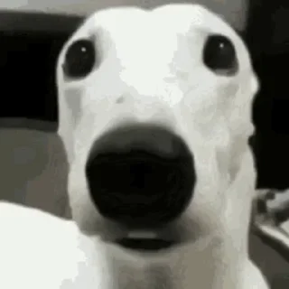 😶