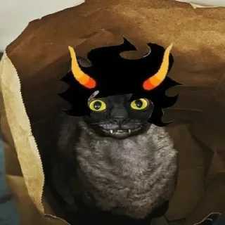 😺
