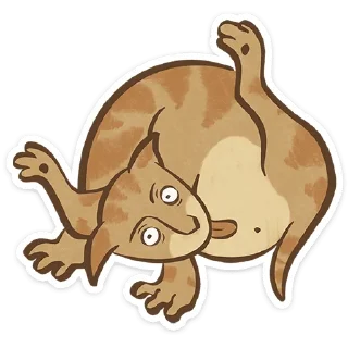 😺
