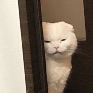 🤯