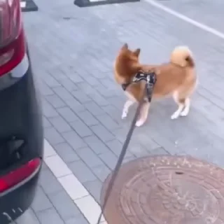 🙂