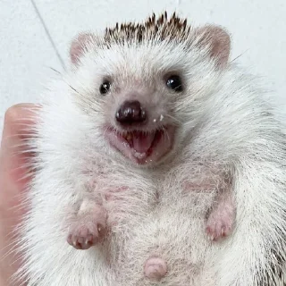 😃