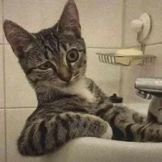 🤨