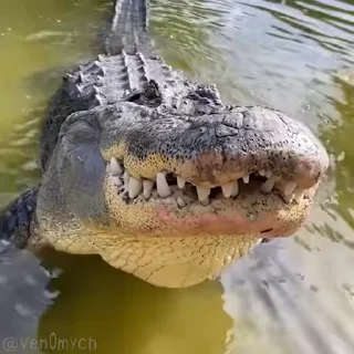 ☺️