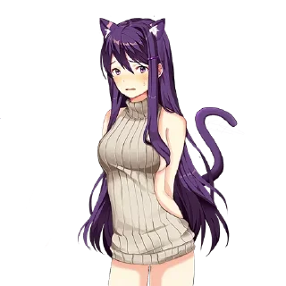 😽