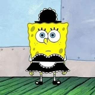 🧽