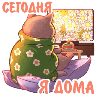 📺