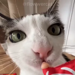 😐