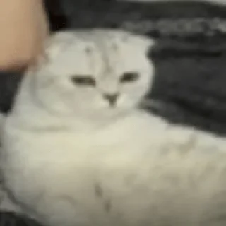 🥺