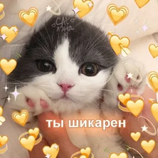 💛