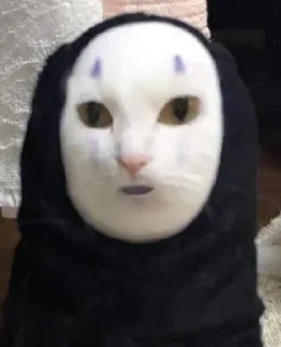 🫡