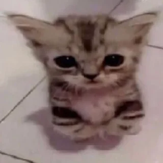 🥺