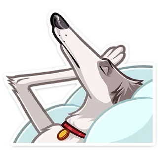 😴