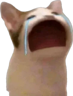 😭