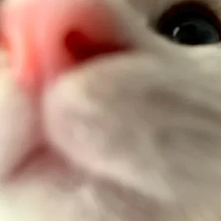 🥰
