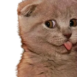😜