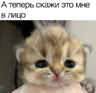 😡