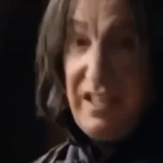 🐍